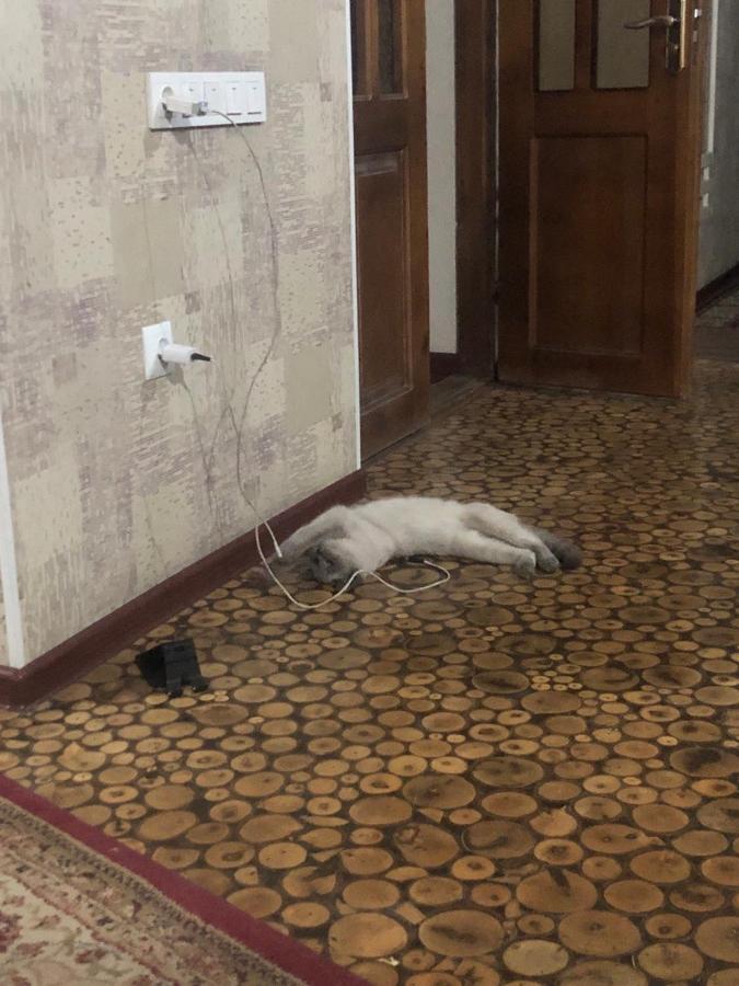 奥什 Be My Guest酒店 外观 照片